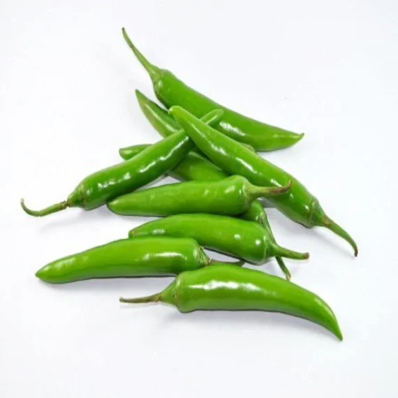 Green Chilli - Image 3