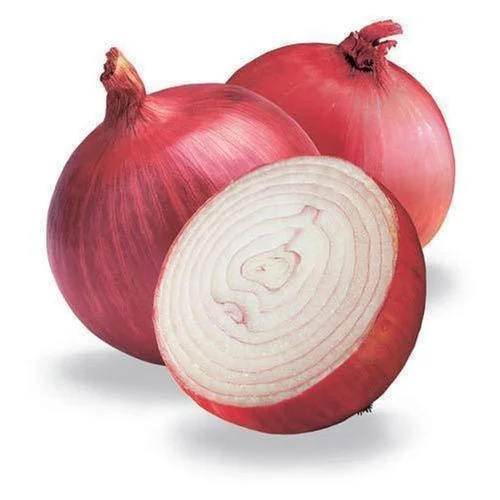Onion - Image 4