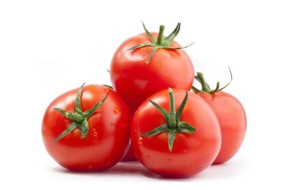 Tomato