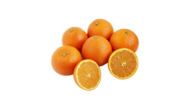 Chikkudu Kaya photo review